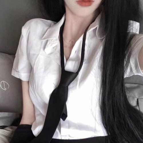 美国谍梦第四季